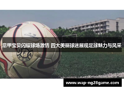 意甲宝贝闪耀球场激情 四大美丽球迷展现足球魅力与风采