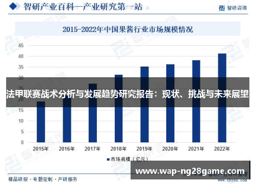 法甲联赛战术分析与发展趋势研究报告：现状、挑战与未来展望