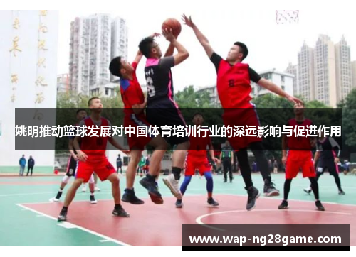 姚明推动篮球发展对中国体育培训行业的深远影响与促进作用