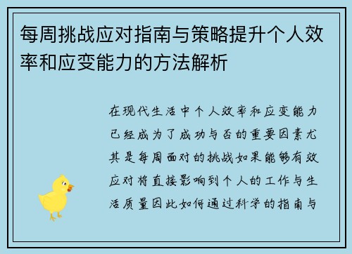 每周挑战应对指南与策略提升个人效率和应变能力的方法解析