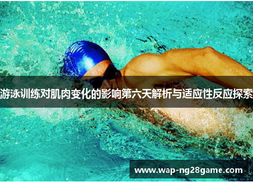 游泳训练对肌肉变化的影响第六天解析与适应性反应探索