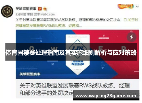 体育圈禁赛处理指南及其实施细则解析与应对策略