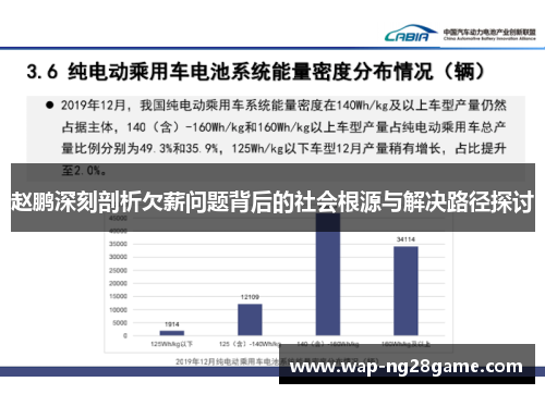 赵鹏深刻剖析欠薪问题背后的社会根源与解决路径探讨