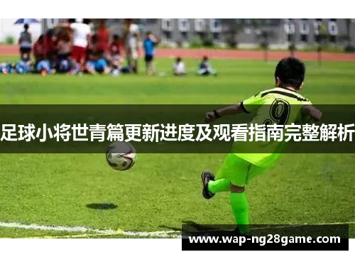 足球小将世青篇更新进度及观看指南完整解析