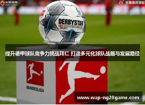 提升德甲球队竞争力挑战拜仁 打造多元化球队战略与发展路径